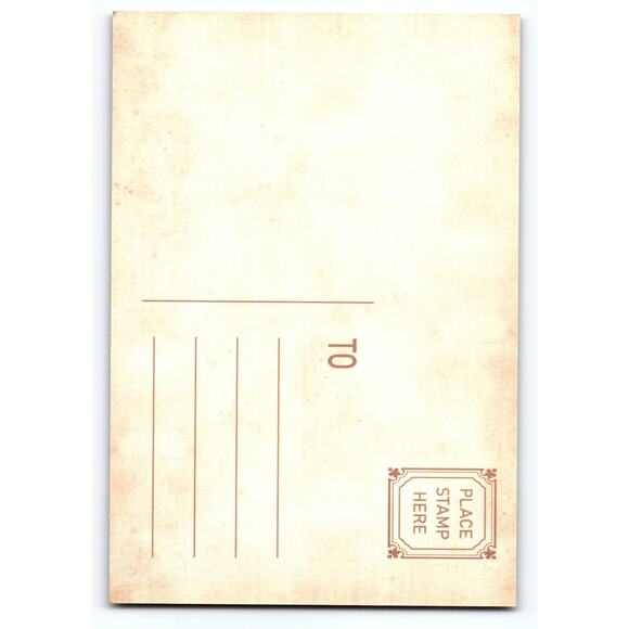 Photochrome Halloween Owl Postcard 5.5x4 Lithograph Chrome Art - Picture 2 of 2